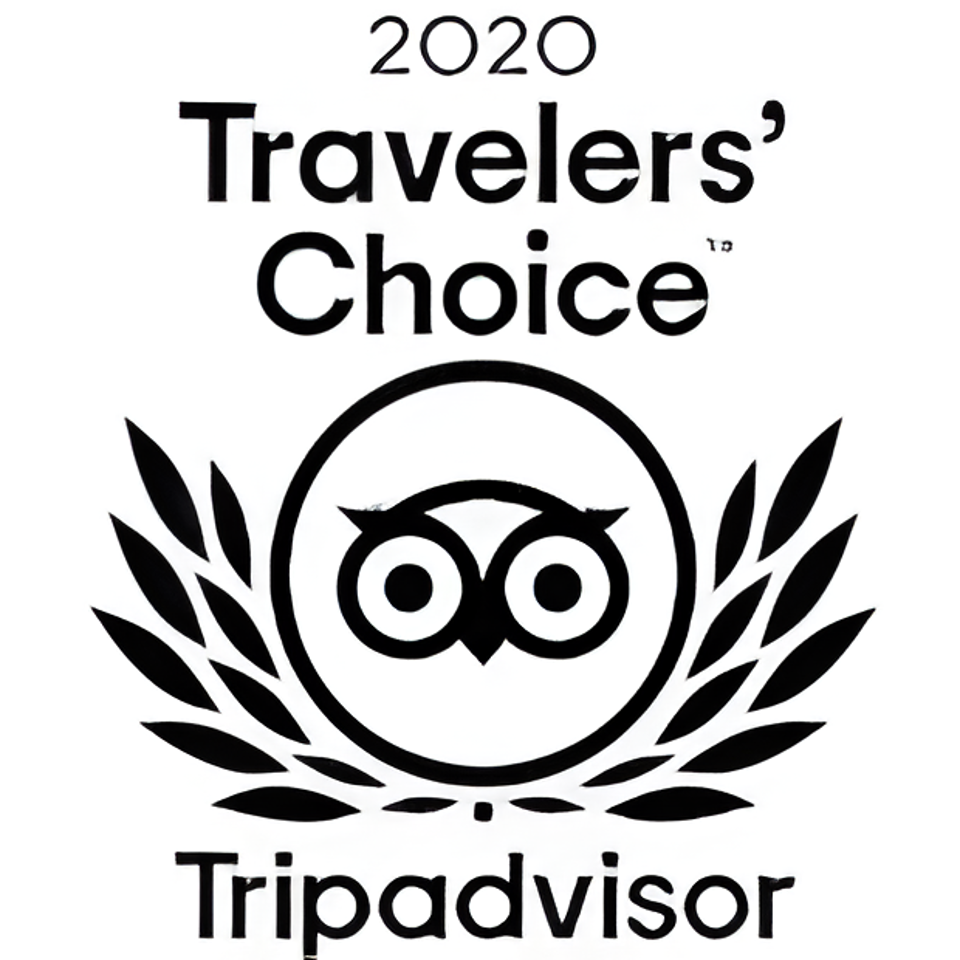 TripAdvisor 2020 Travelers' Choice award logo, featuring an owl icon and laurel wreath.